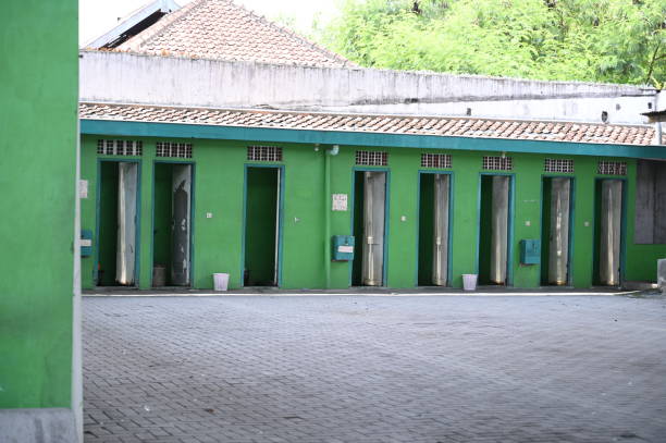 Best Local porta potty services  in Mathews, LA